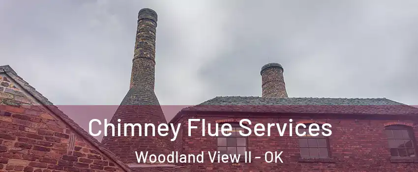 Chimney Flue Services Woodland View II - OK