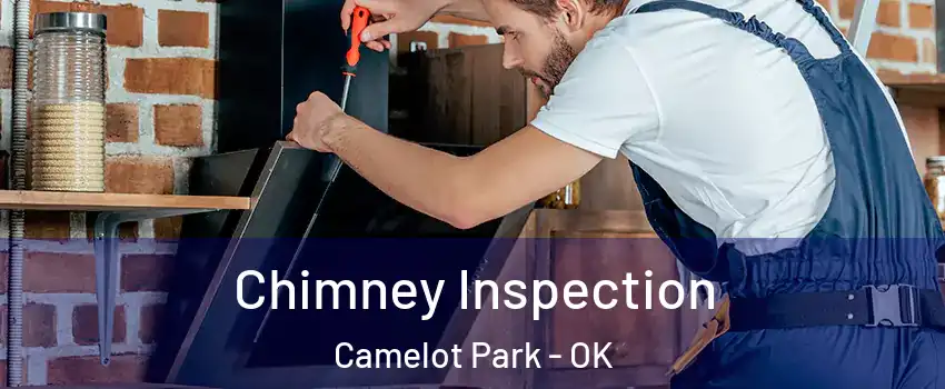 Chimney Inspection Camelot Park - OK