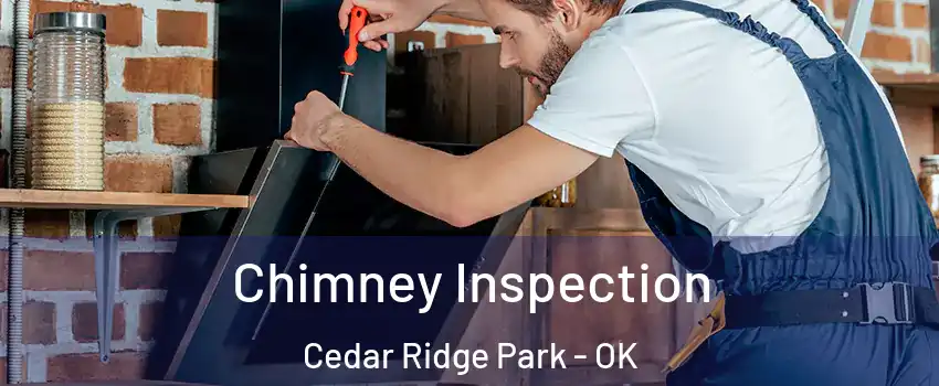 Chimney Inspection Cedar Ridge Park - OK