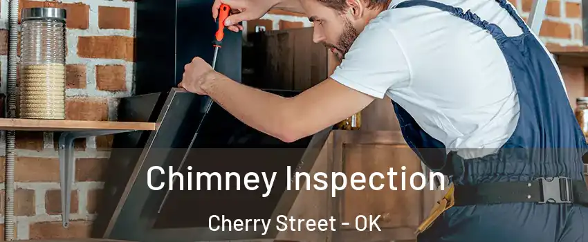 Chimney Inspection Cherry Street - OK