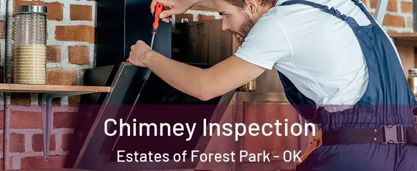 Chimney Inspection Estates of Forest Park - OK