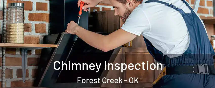 Chimney Inspection Forest Creek - OK