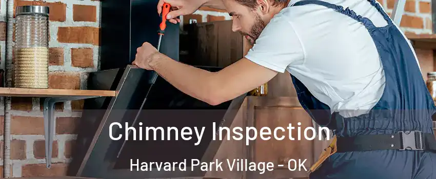 Chimney Inspection Harvard Park Village - OK