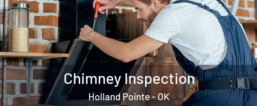 Chimney Inspection Holland Pointe - OK