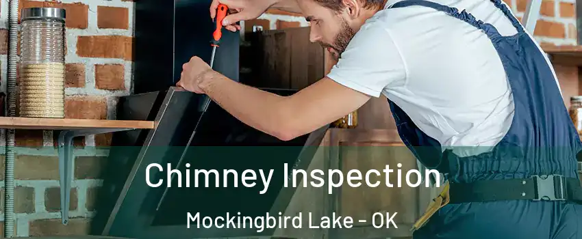 Chimney Inspection Mockingbird Lake - OK
