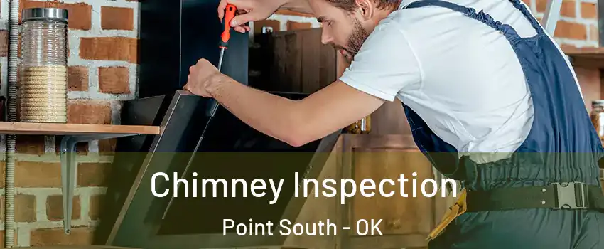 Chimney Inspection Point South - OK