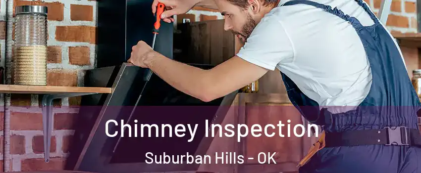 Chimney Inspection Suburban Hills - OK