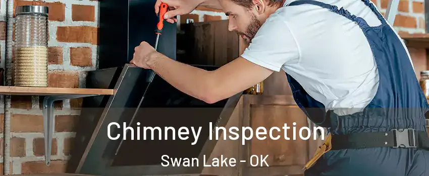 Chimney Inspection Swan Lake - OK