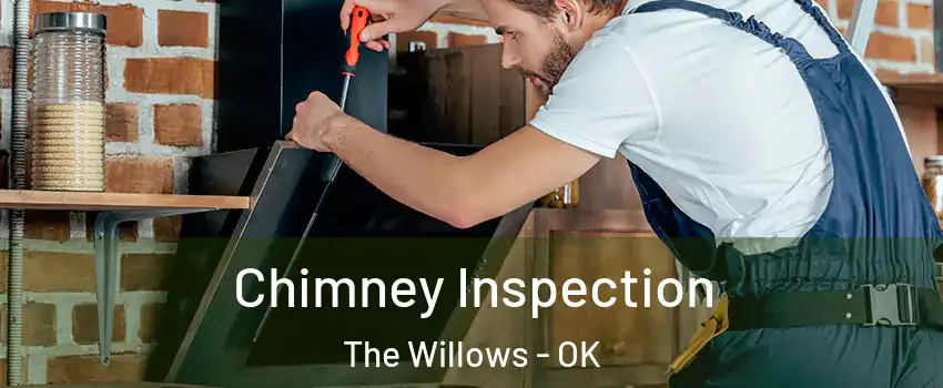 Chimney Inspection The Willows - OK