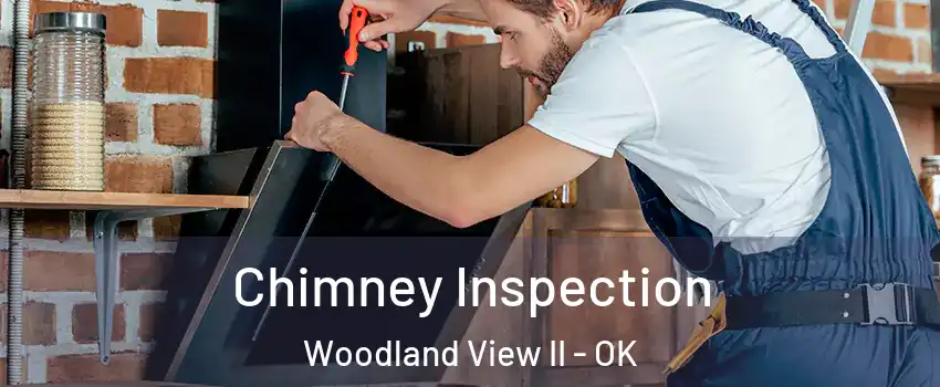 Chimney Inspection Woodland View II - OK