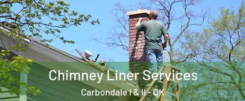 Chimney Liner Services Carbondale I & II - OK