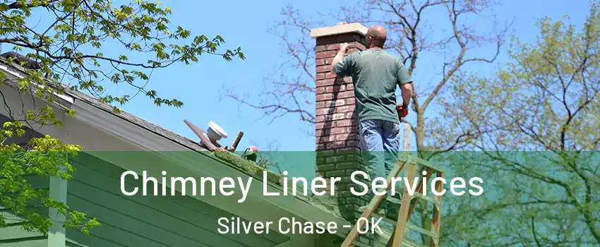 Chimney Liner Services Silver Chase - OK