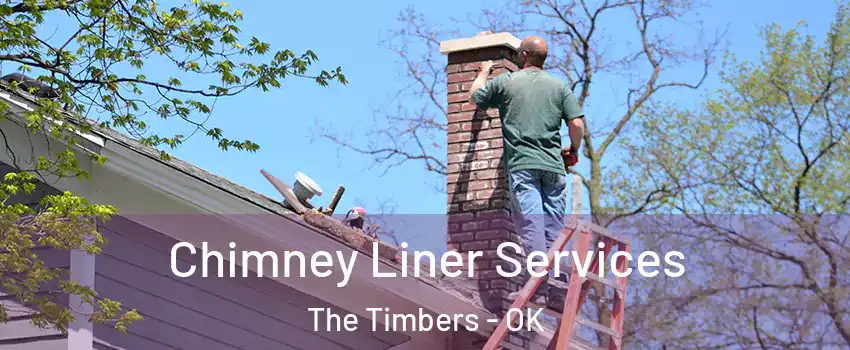 Chimney Liner Services The Timbers - OK