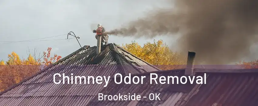 Chimney Odor Removal Brookside - OK