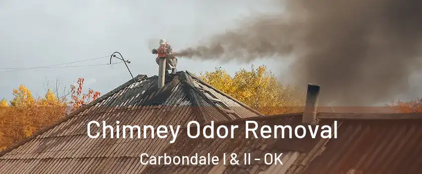 Chimney Odor Removal Carbondale I & II - OK