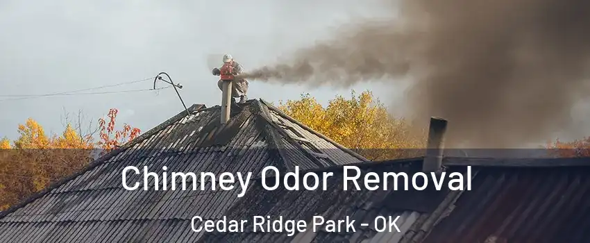 Chimney Odor Removal Cedar Ridge Park - OK