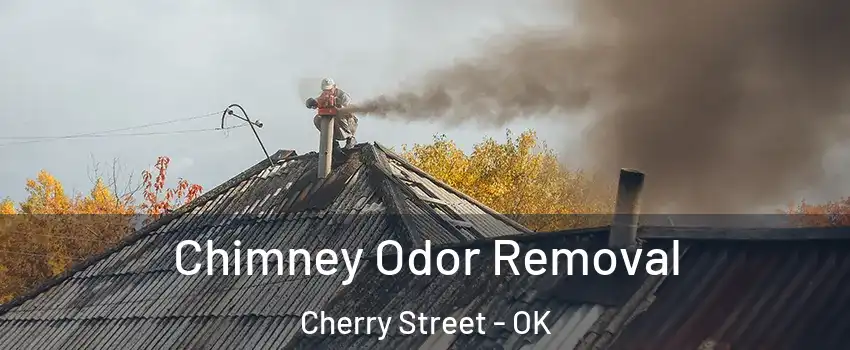 Chimney Odor Removal Cherry Street - OK