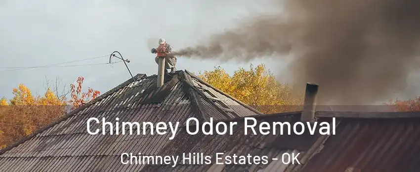 Chimney Odor Removal Chimney Hills Estates - OK