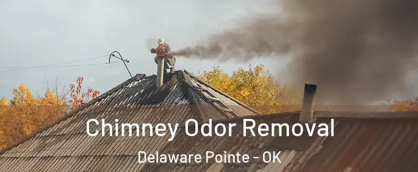 Chimney Odor Removal Delaware Pointe - OK