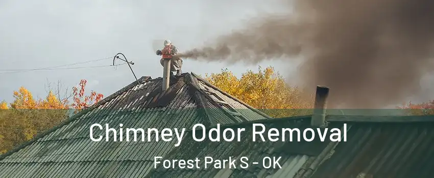 Chimney Odor Removal Forest Park S - OK