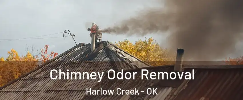 Chimney Odor Removal Harlow Creek - OK