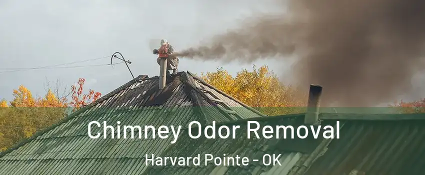 Chimney Odor Removal Harvard Pointe - OK