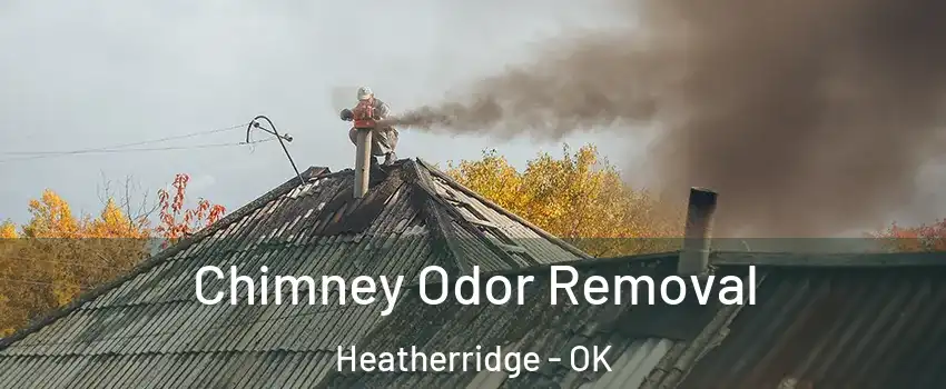 Chimney Odor Removal Heatherridge - OK