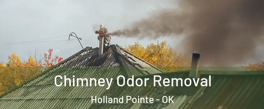Chimney Odor Removal Holland Pointe - OK