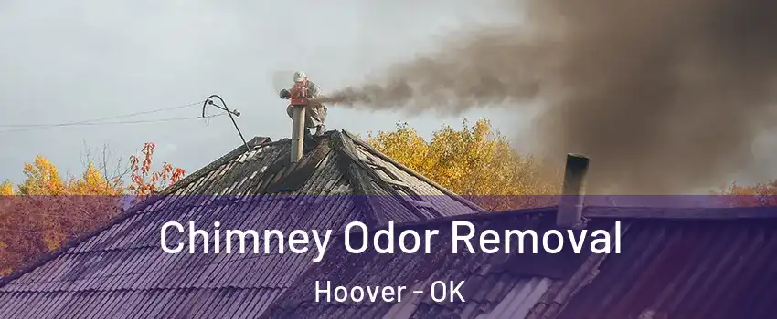 Chimney Odor Removal Hoover - OK