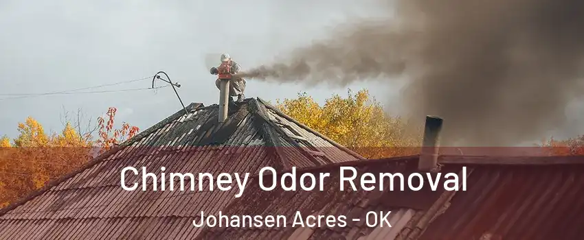 Chimney Odor Removal Johansen Acres - OK