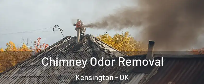 Chimney Odor Removal Kensington - OK