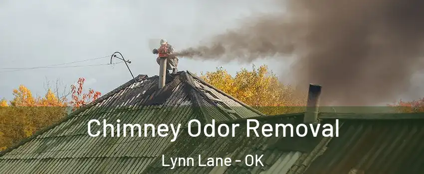 Chimney Odor Removal Lynn Lane - OK