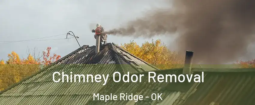 Chimney Odor Removal Maple Ridge - OK