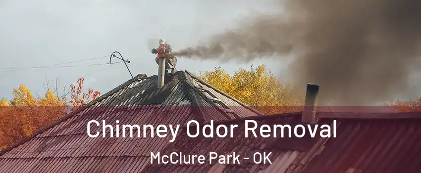 Chimney Odor Removal McClure Park - OK