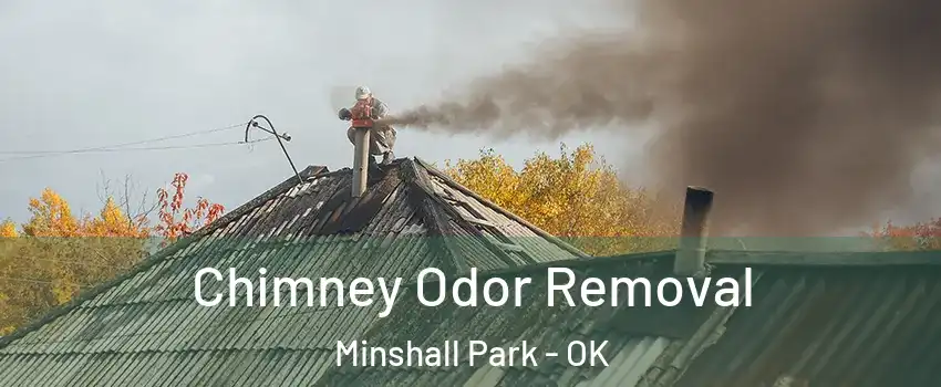 Chimney Odor Removal Minshall Park - OK