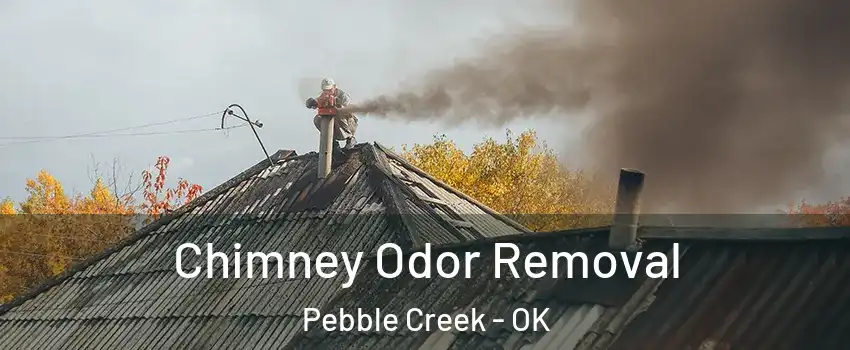Chimney Odor Removal Pebble Creek - OK