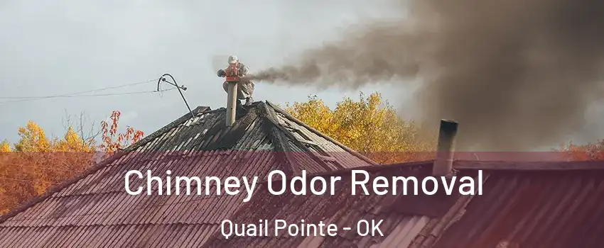 Chimney Odor Removal Quail Pointe - OK