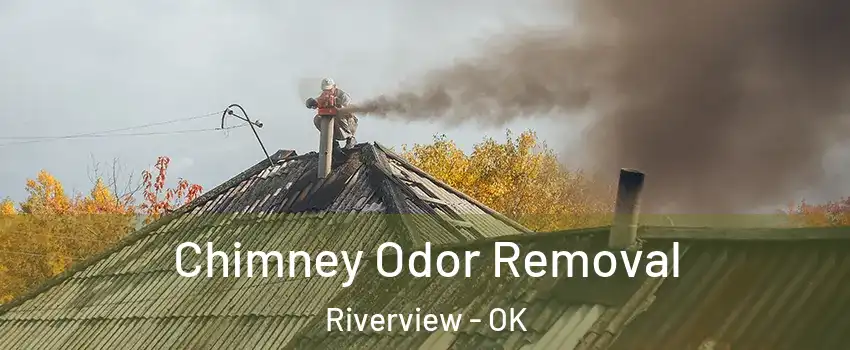 Chimney Odor Removal Riverview - OK