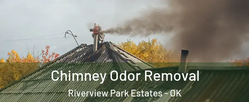 Chimney Odor Removal Riverview Park Estates - OK