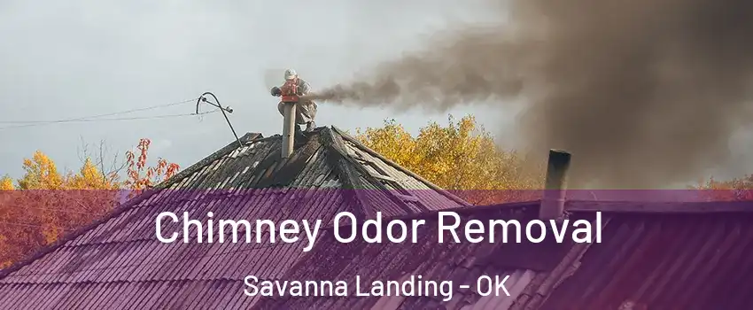Chimney Odor Removal Savanna Landing - OK
