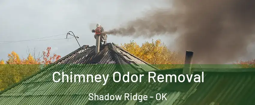 Chimney Odor Removal Shadow Ridge - OK