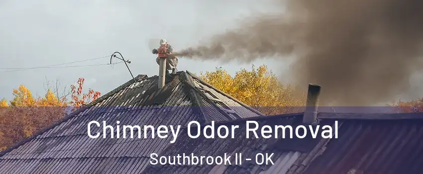 Chimney Odor Removal Southbrook II - OK