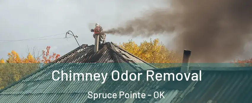 Chimney Odor Removal Spruce Pointe - OK