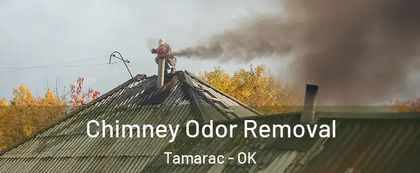 Chimney Odor Removal Tamarac - OK