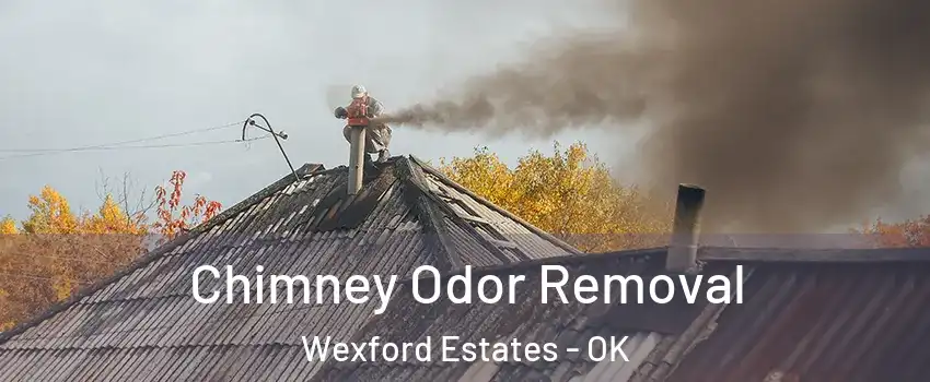 Chimney Odor Removal Wexford Estates - OK