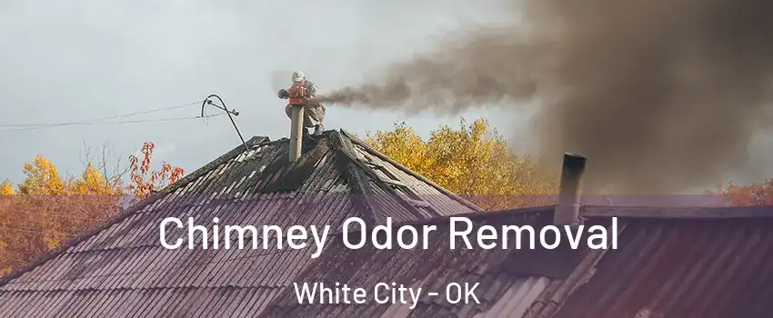 Chimney Odor Removal White City - OK