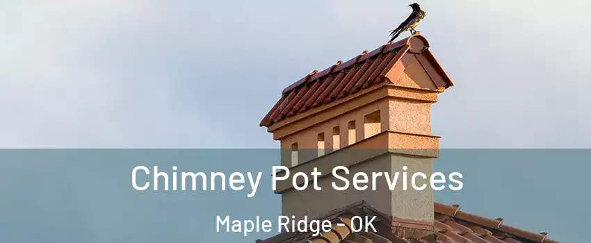 Chimney Pot Services Maple Ridge - OK
