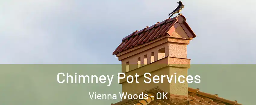 Chimney Pot Services Vienna Woods - OK