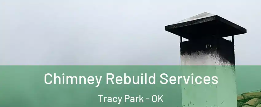 Chimney Rebuild Services Tracy Park - OK