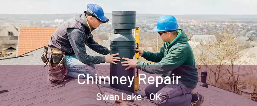 Chimney Repair Swan Lake - OK